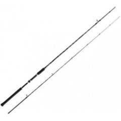 Удилище спиннинговое SHIMANO Salty Advance Sea Bass 2,90m 9'6" 6-32g 2pcs