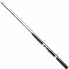 Спиннинг TEAM DRAGON SILVER EDITION CAST 255 см, 60-130 г, fast