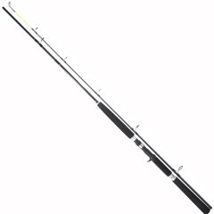 Спиннинг TEAM DRAGON SILVER EDITION CAST 255 см, 60-130 г, fast