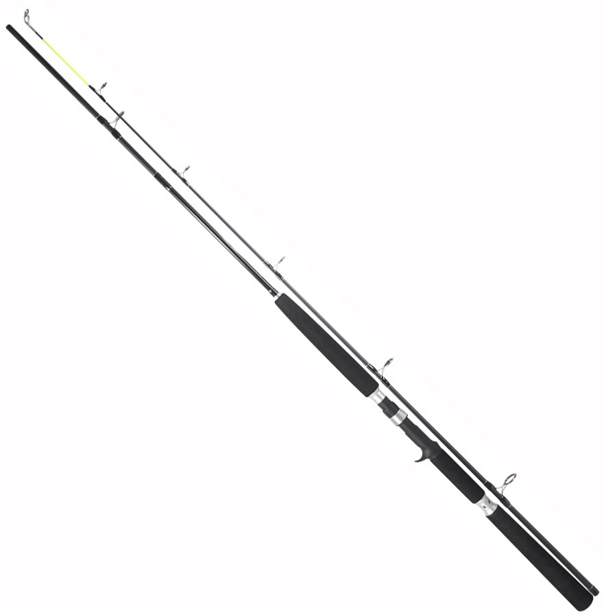 Спиннинг TEAM DRAGON SILVER EDITION CAST 255 см, 60-130 г, fast