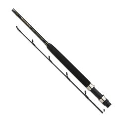 Спиннинг Shimano Beastmaster AX BT S, 228см, 12-20lb