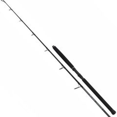 Спиннинг Shimano Beastmaster Catfish Lure, 240см, до 200г