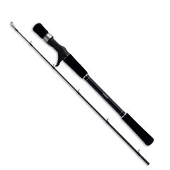 Спиннинг Shimano Yasei Pike Casting 25XH, 2.50м, 40-100г
